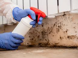 Best Asbestos and Lead Testing During Mold Inspection  in Gering, NE